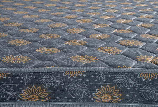 The Sleep Mattress